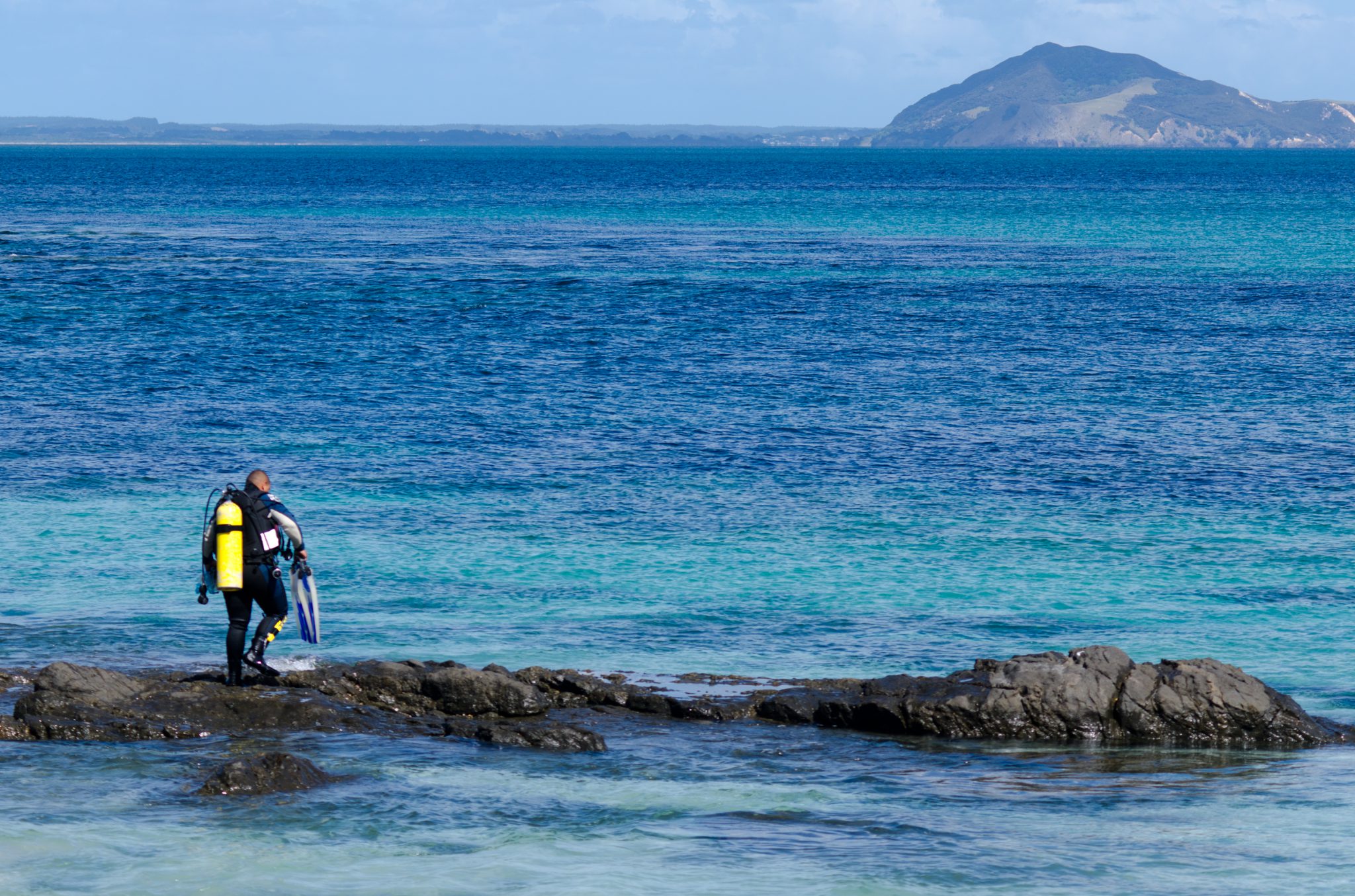 New Zealand -Karikari Peninsula  - scuba diver