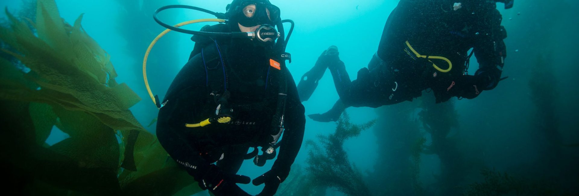 8 Tips for Rocking the PADI Instructor Development Course (IDC)