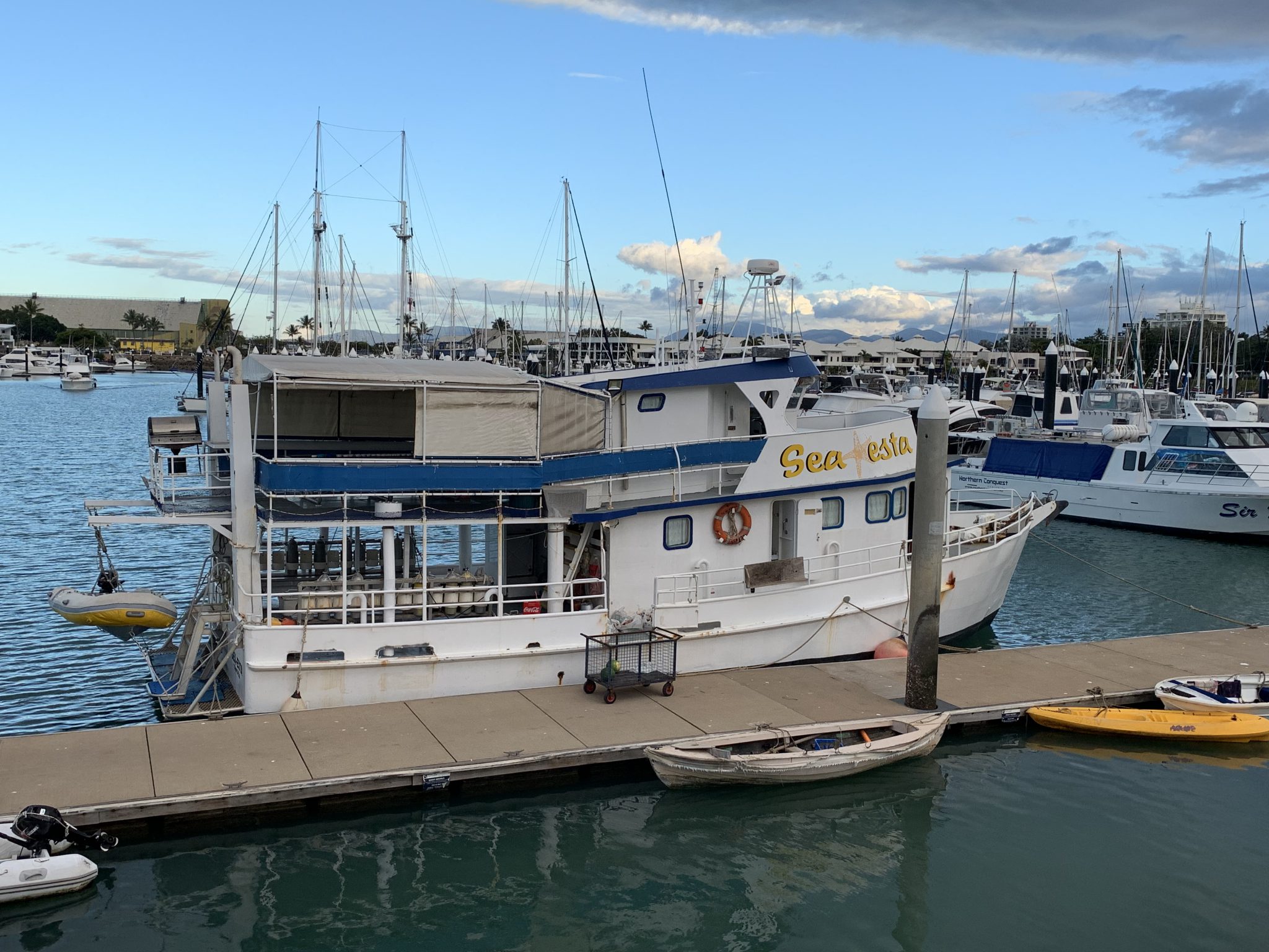 Adrenaline Snorkel and Dive - Townsville - PADI Dive Shop