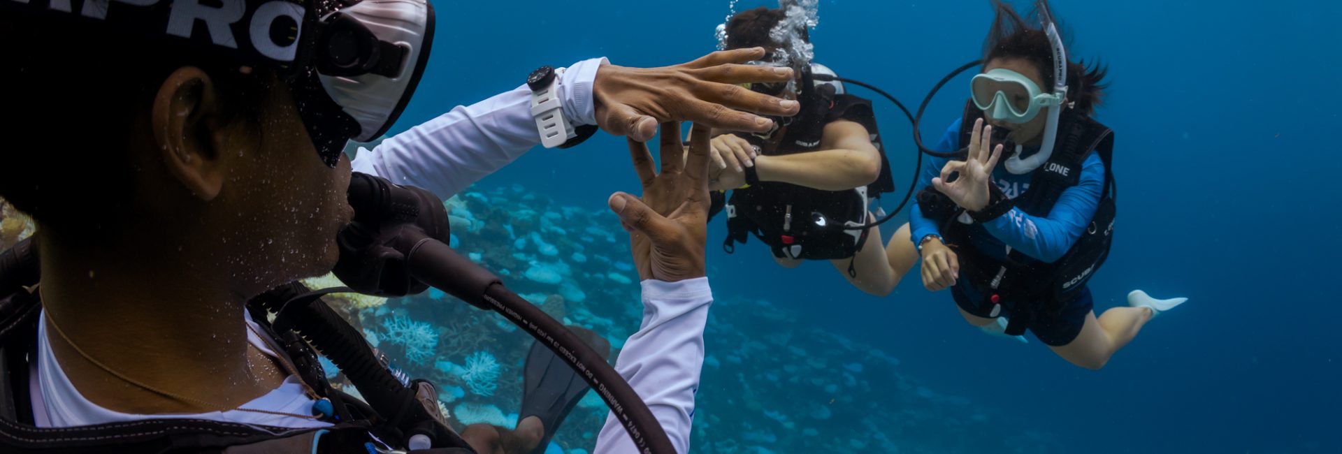 PADI AmbassaDiverチームの選考基準