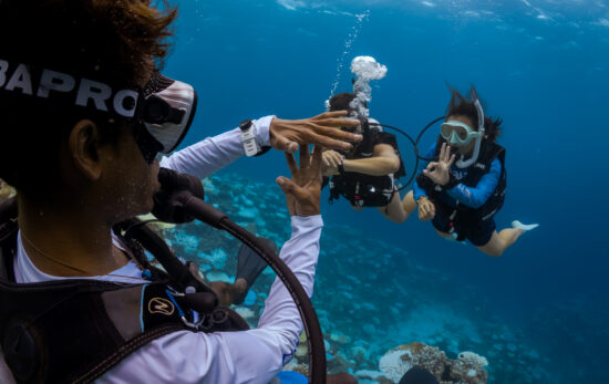 A PADI Discover Scuba Diving Experience in the Maldives