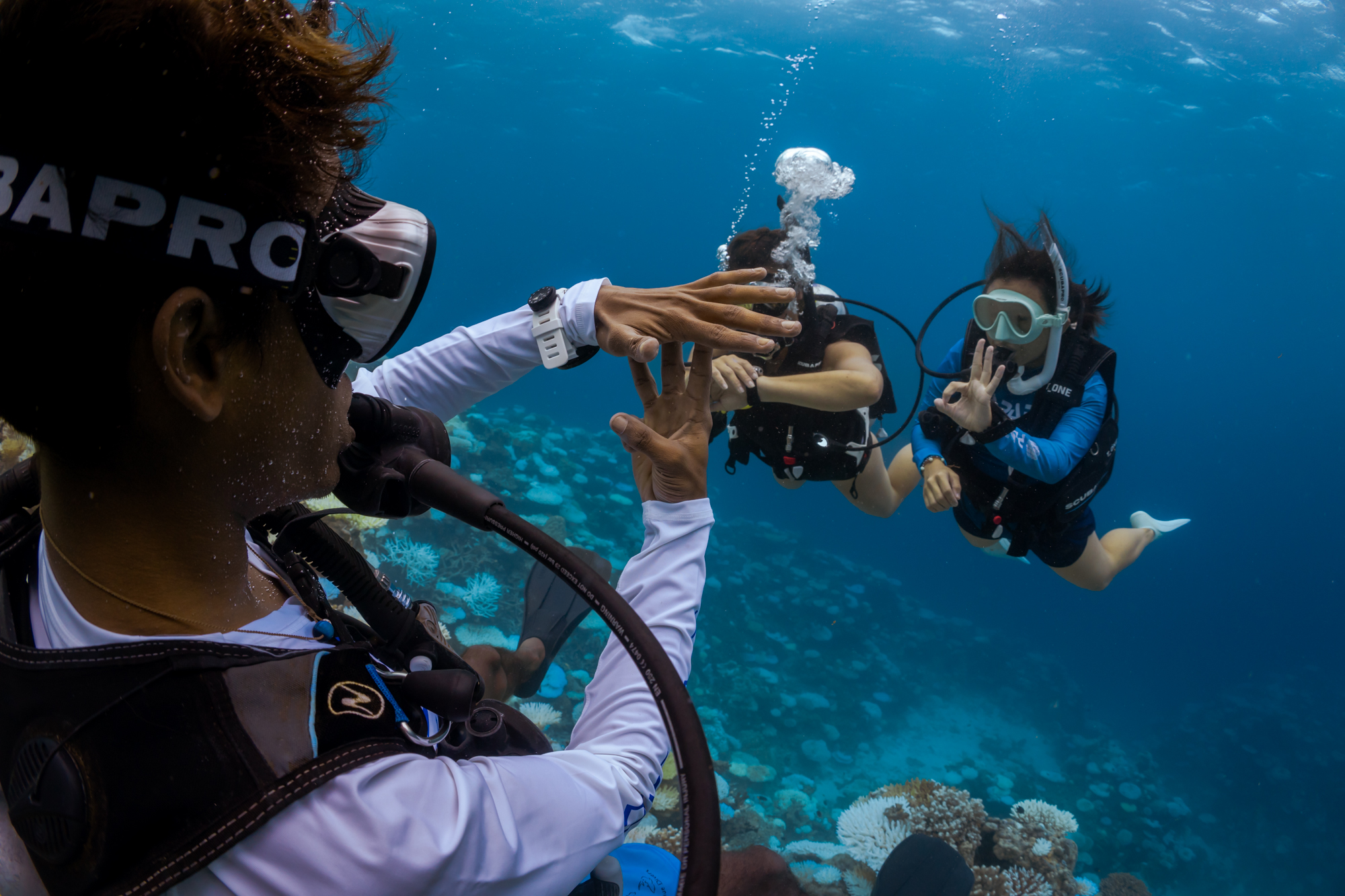 A PADI Discover Scuba Diving Experience in the Maldives