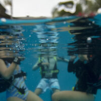 Discover scuba diving and open water what's the difference