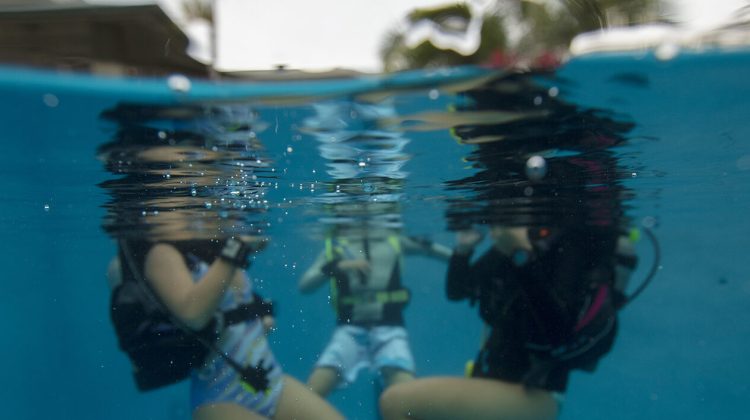 Discover scuba diving and open water what's the difference
