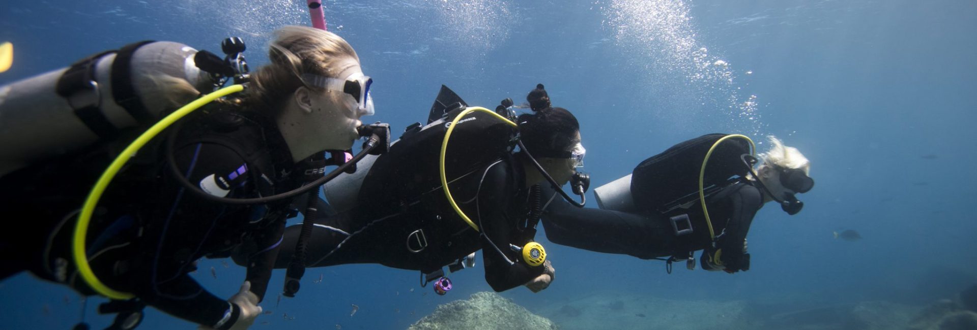 Comment vous préparer à votre cours Open Water Diver