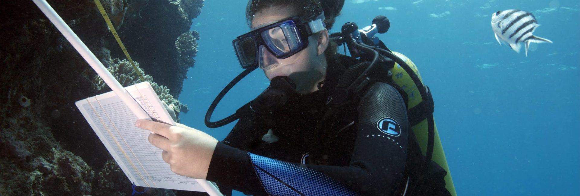 Women in Diving: Joleah Lamb is Searching for Solutions to Plastic Pollution