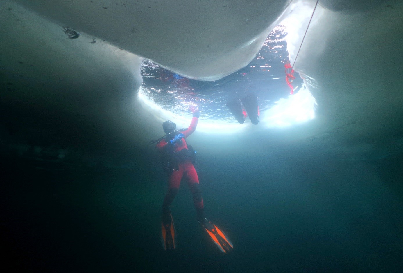 Ice diving - PADI Professionals in cold water regions