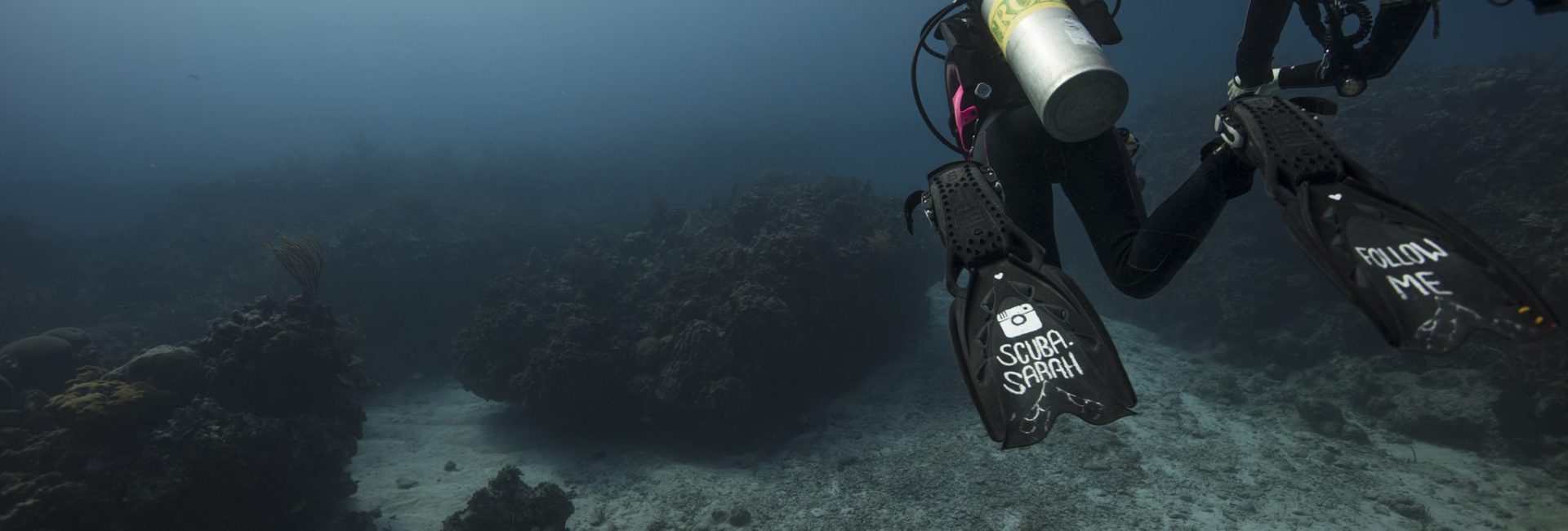 Leading the Dive and Leading Divers