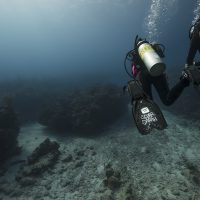 Leading the dive and leading divers