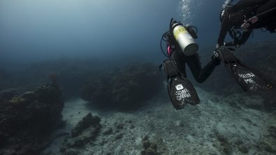 Leading the dive and leading divers