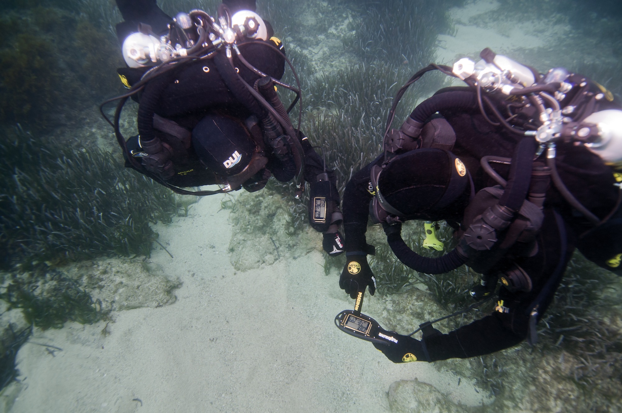 Rebreather divers over a bed of seagrass