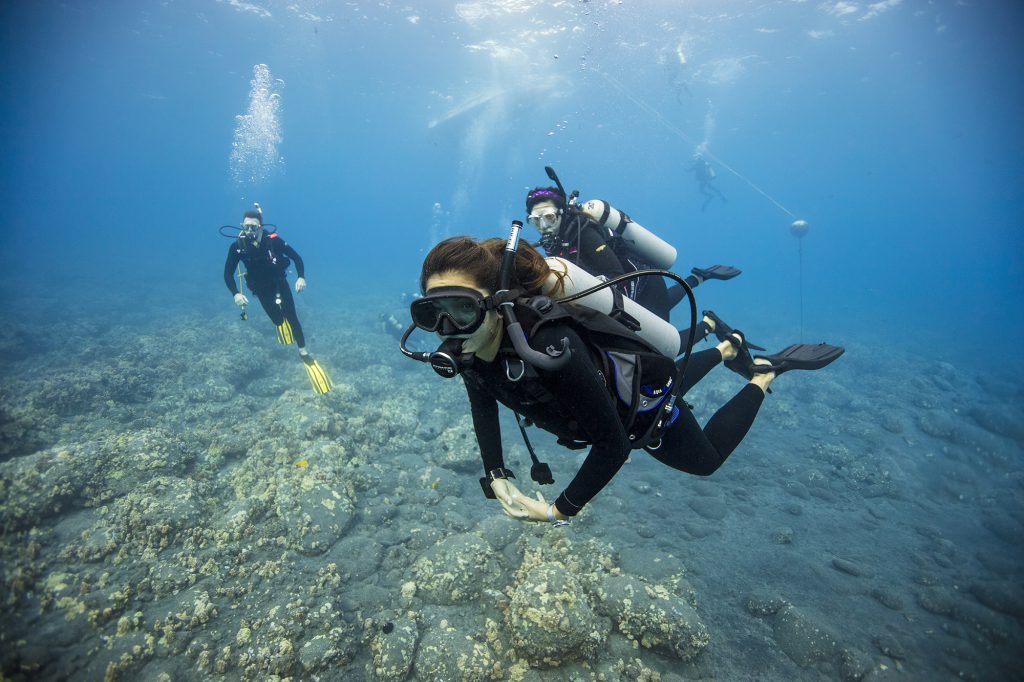 Open water sea dive