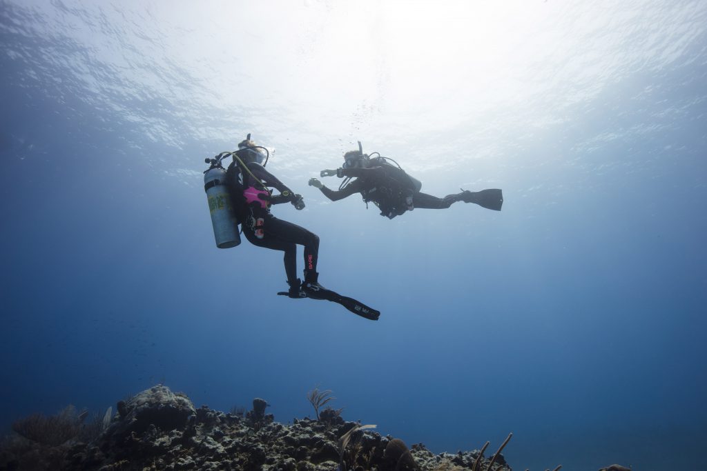 The Life Of A Padi Divemaster Roles And Responsibilities