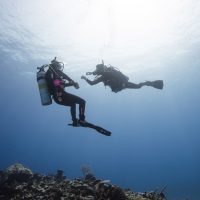 PADI Divemaster
