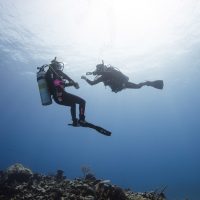 PADI Divemaster roles underwater