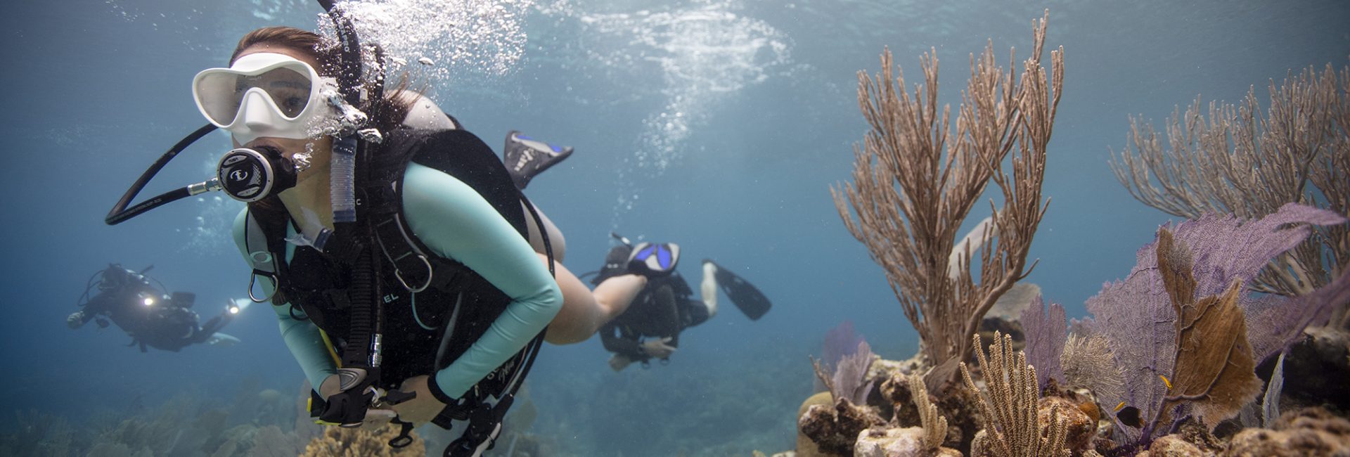 Give Life to Local Reefs