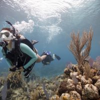 PADI Divers have the ability to breathe underwater while exploring the magic of the underwater world