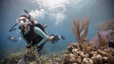 PADI Divers have the ability to breathe underwater while exploring the magic of the underwater world