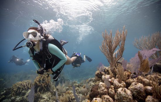 PADI Divers have the ability to breathe underwater while exploring the magic of the underwater world
