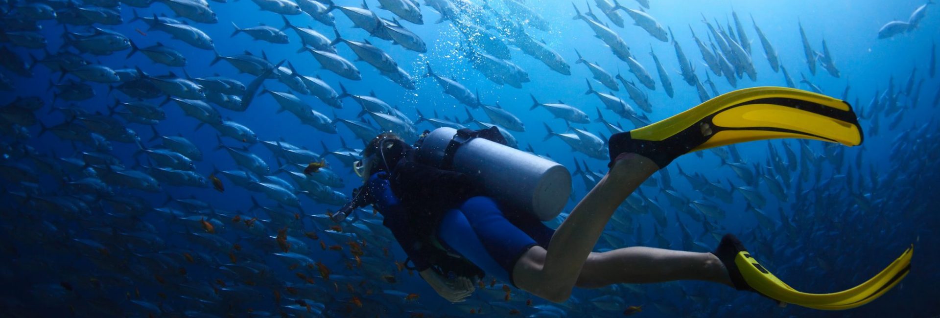 Discover Scuba Diving to Open Water Diver: 10 Reasons to Get Your PADI Certification