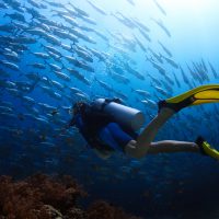 WarmWaterDive_Shutterstock