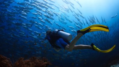WarmWaterDive_Shutterstock