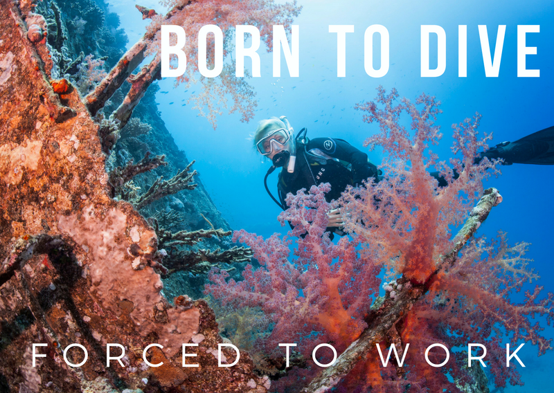 An image of a scuba diver visiting a colorful wreck, with the words born to dive forced to work superimposed over the top
