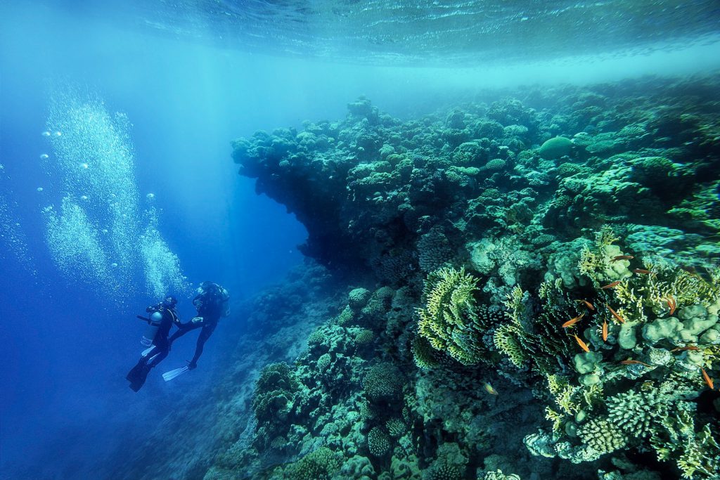 Two scuba divers diving along a healthy reef in Dahab Egypt Red Sea