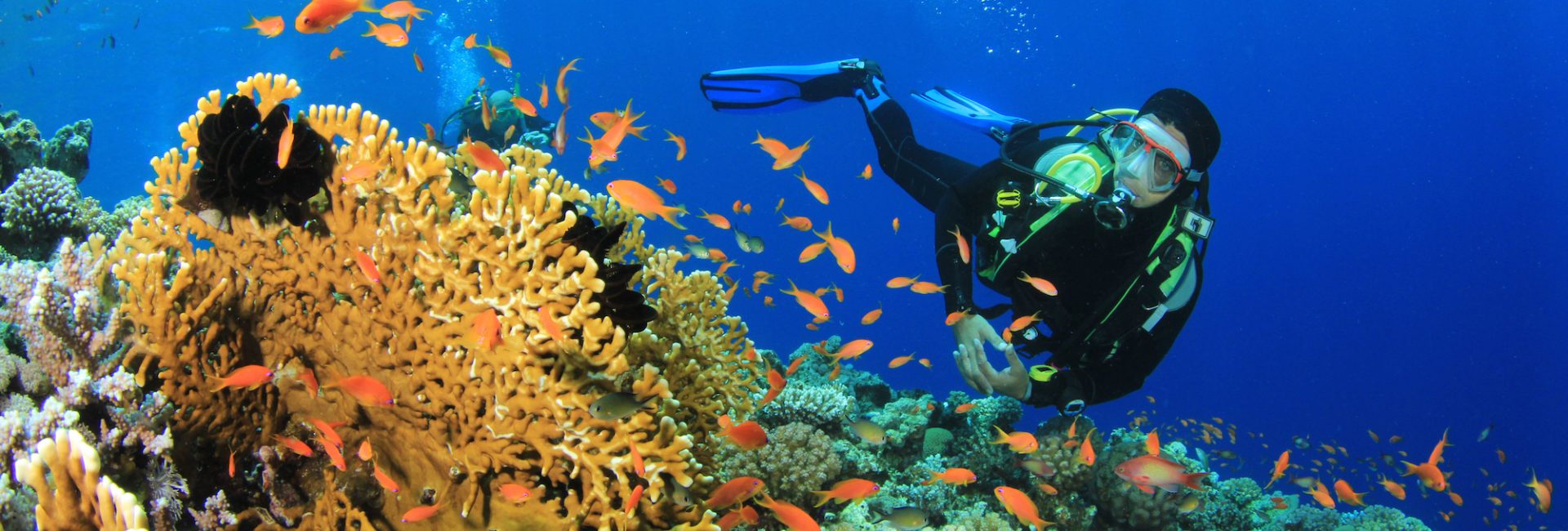 How to Prepare for Your First Scuba Diving Adventure