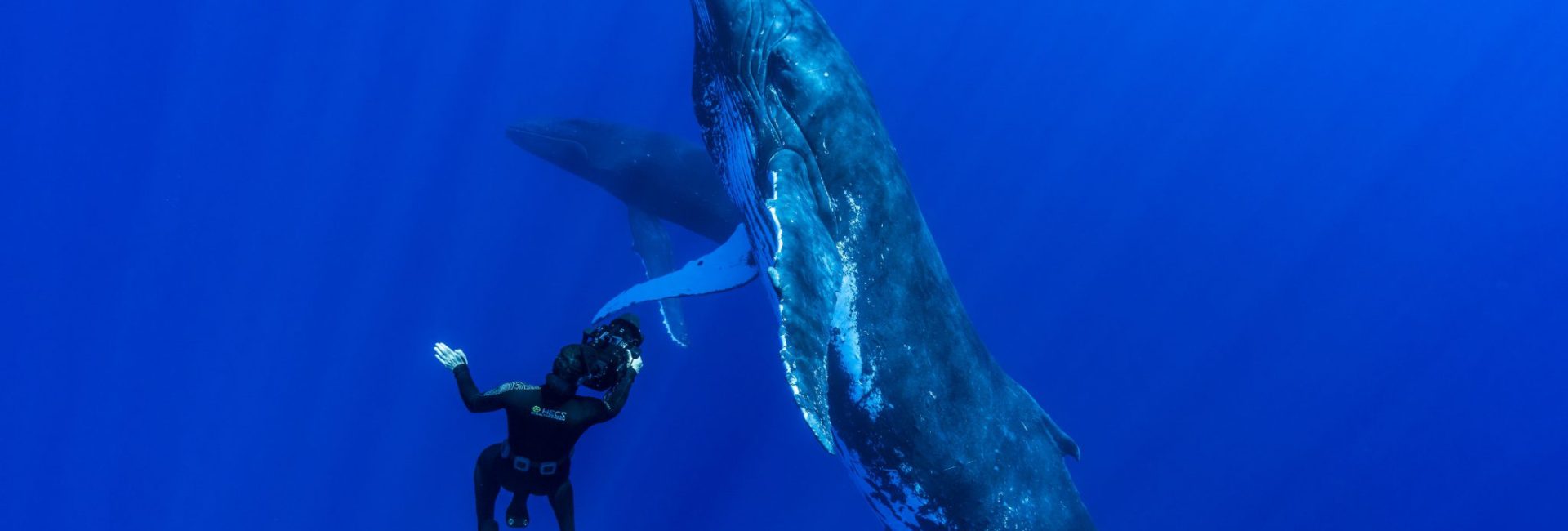 Interviewing Ocean Legends with Young Ocean Explorers