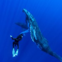 Steve Hathaway - Young Ocean Explorers - New Zealand - Blake Award Winner