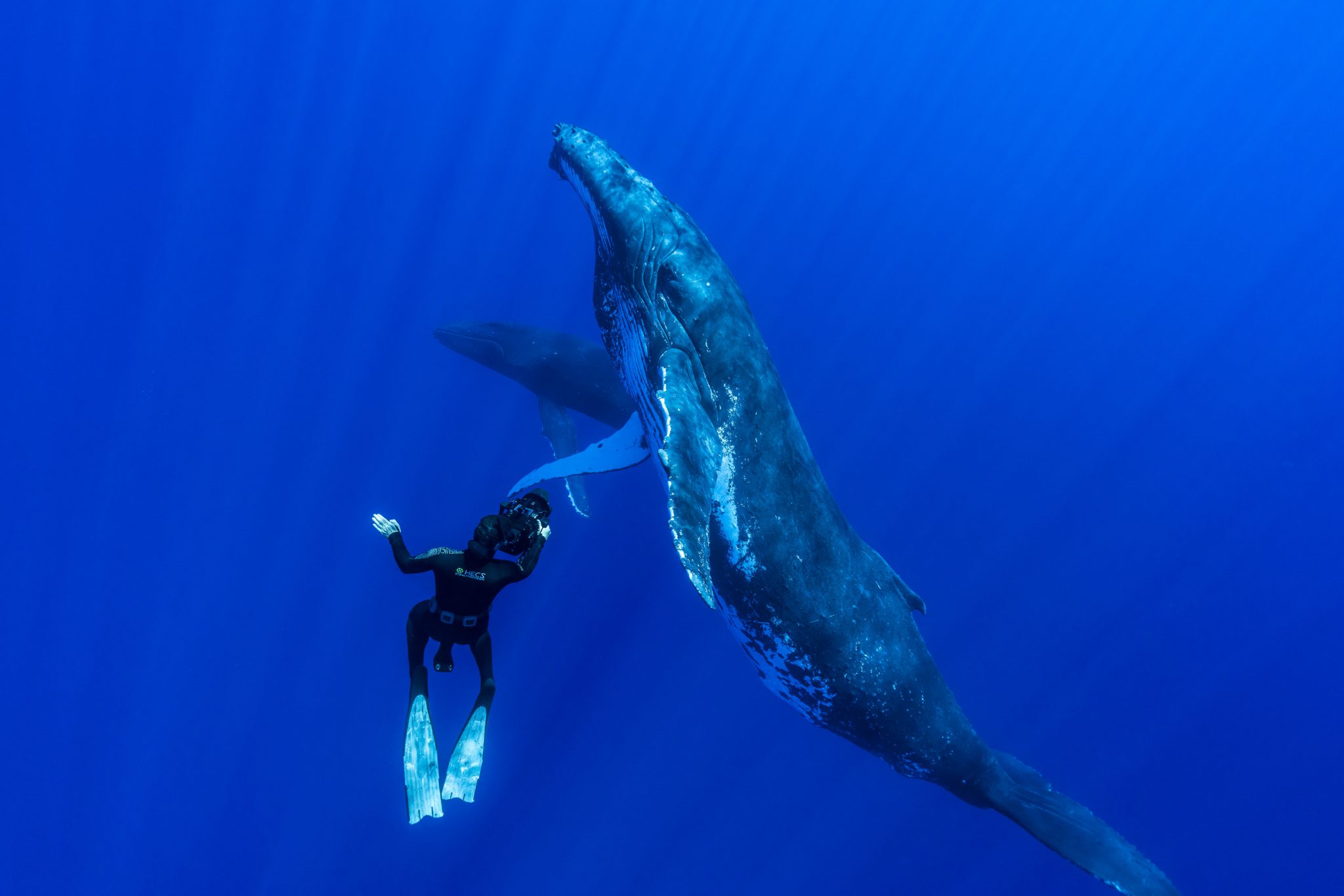 Steve Hathaway - Young Ocean Explorers - New Zealand - Blake Award Winner