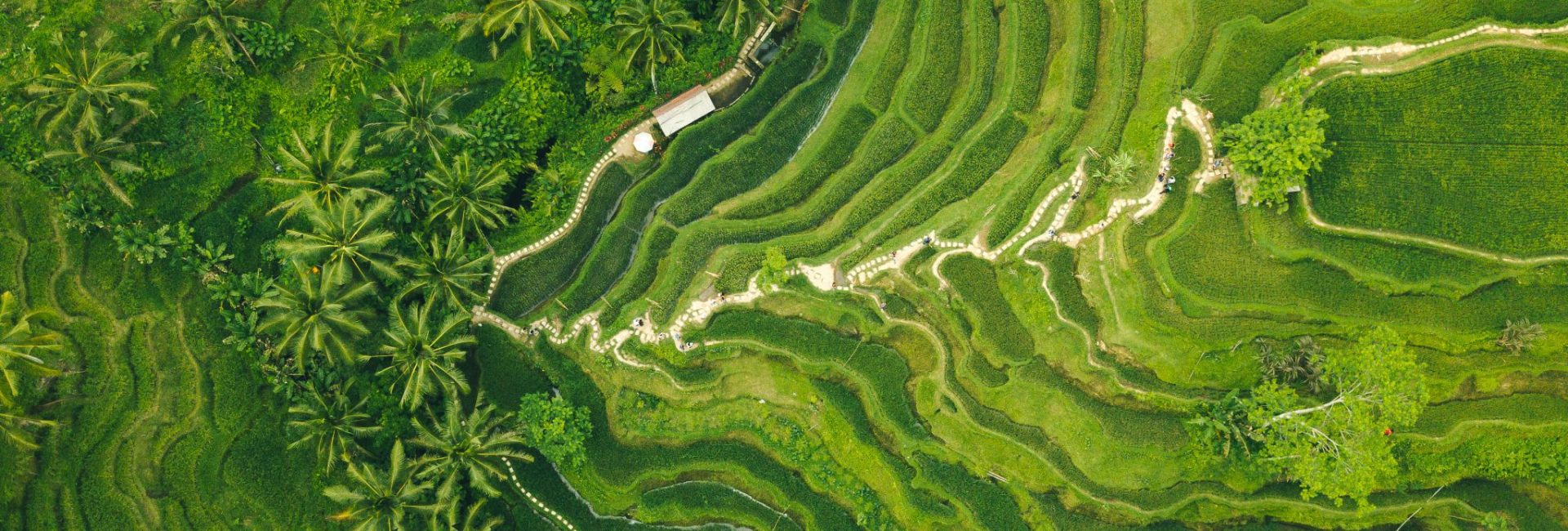 The Best Surface Interval Activities in Bali
