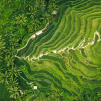 Best Surface Interval Activities in Bali Header