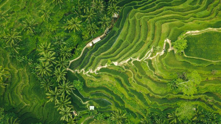 Best Surface Interval Activities in Bali Header