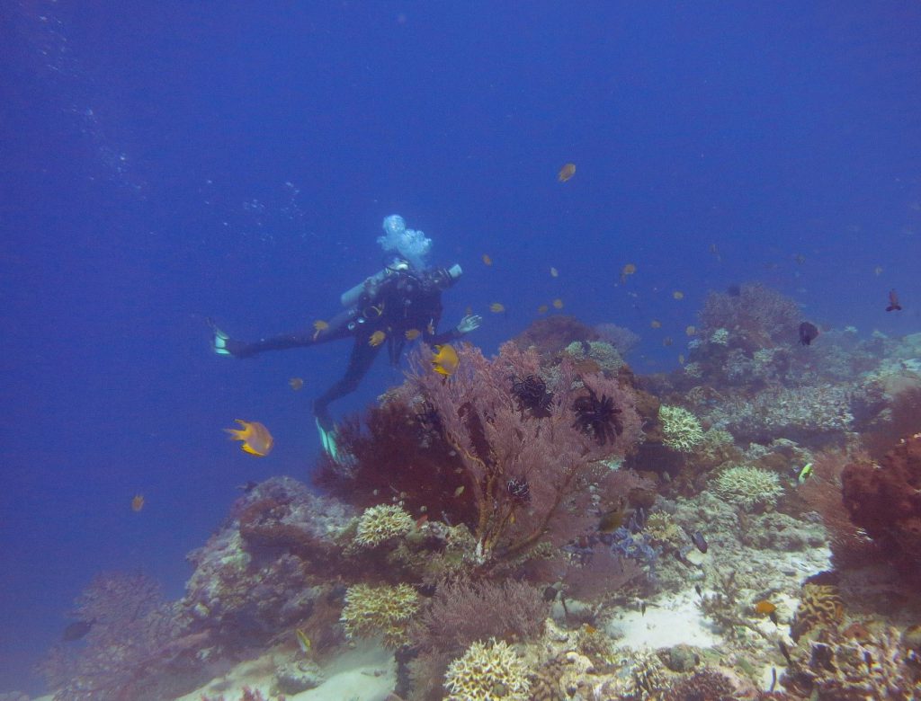 Diving Menjangan Island
