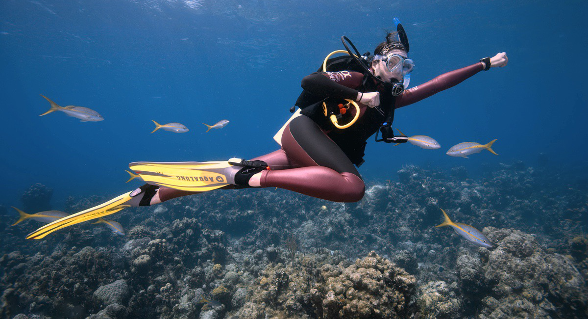 世界のオモシロ PADI ディスティンクティブSPコース TOP5