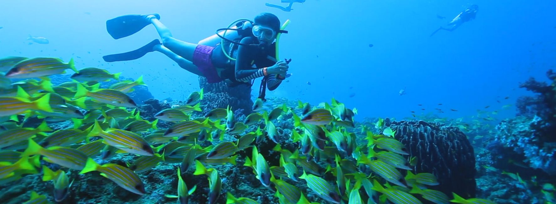 PADI at ADEX Mumbai, 4th – 6th October 2019