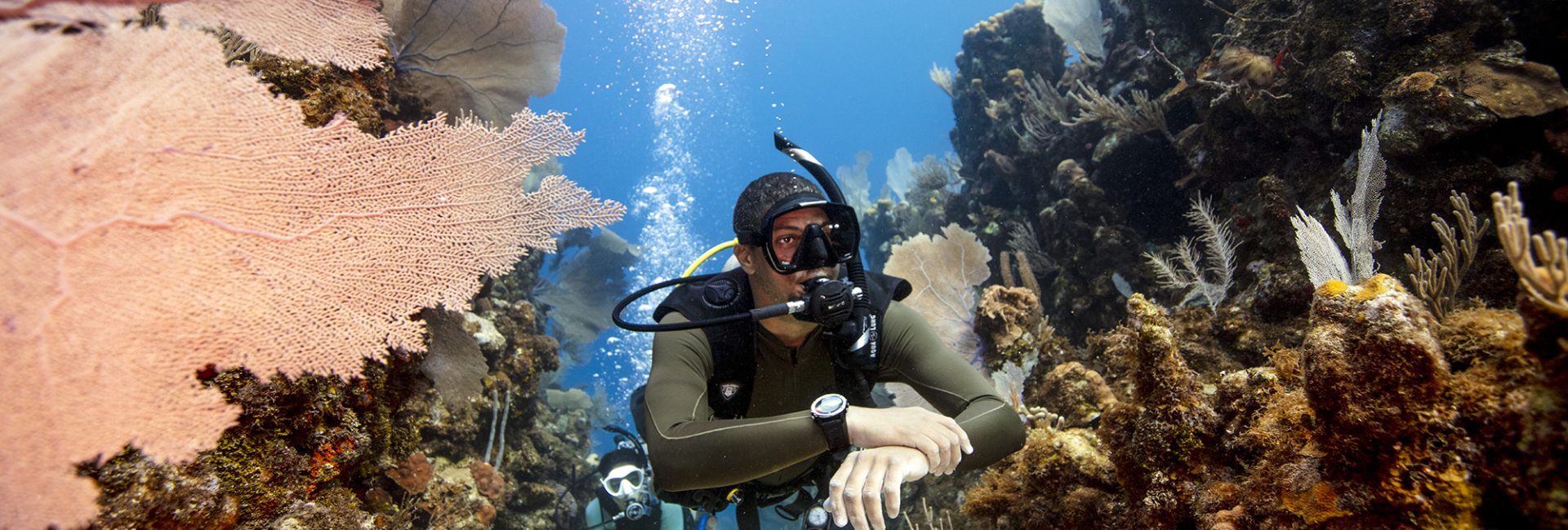 5 Reasons to Book a One-Way Ticket to Utila