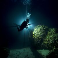 Night diving: a diver uses an underwater light to illuminate a coral head