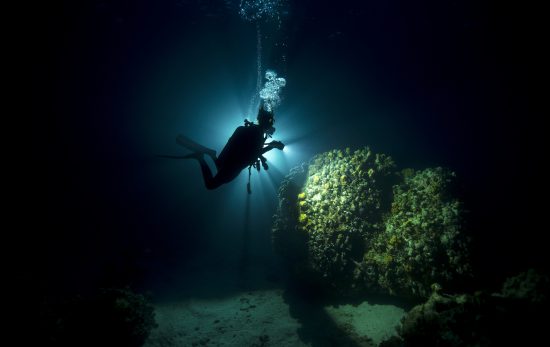 Night diving: a diver uses an underwater light to illuminate a coral head