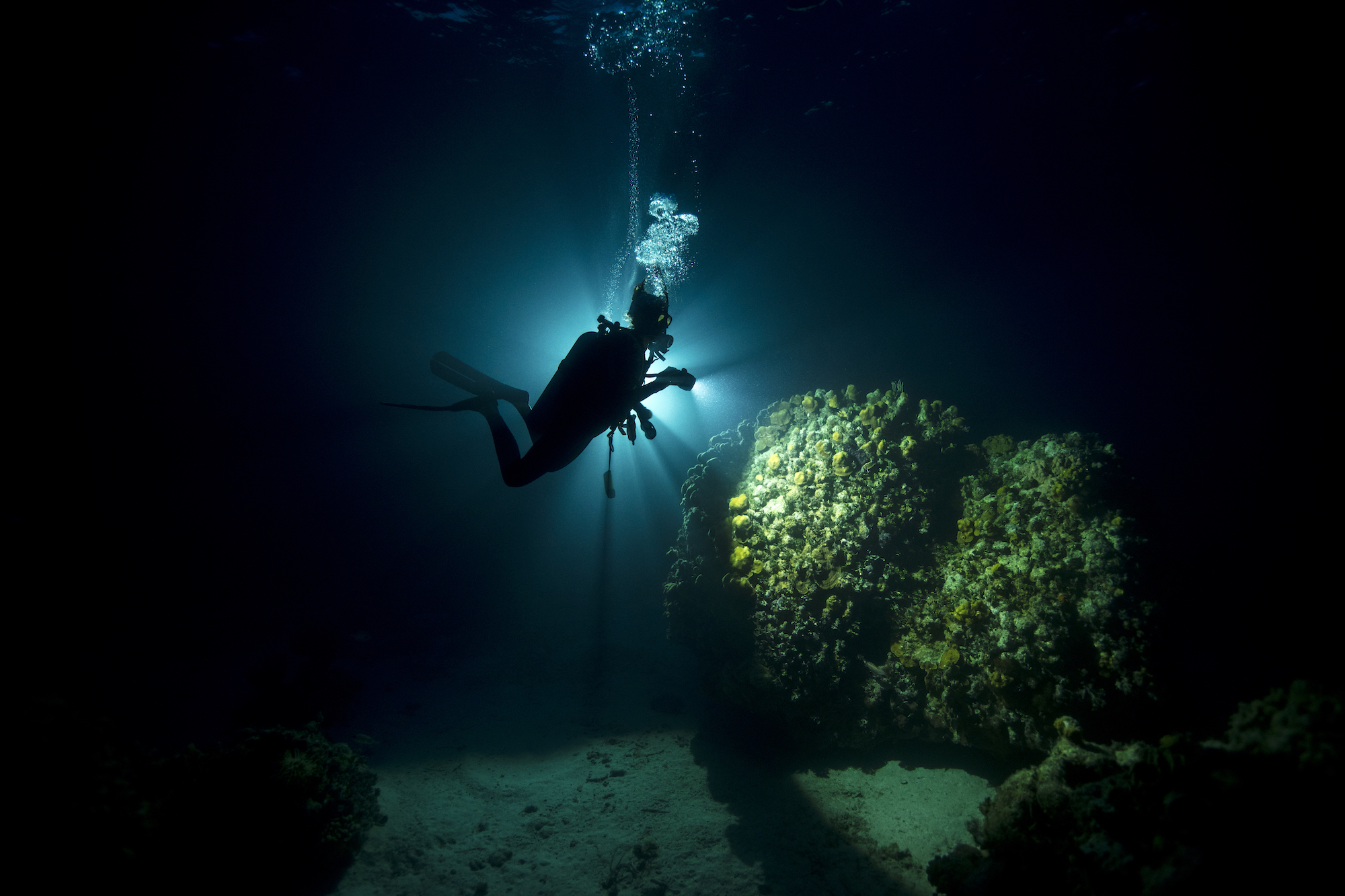 Night diving: a diver uses an underwater light to illuminate a coral head