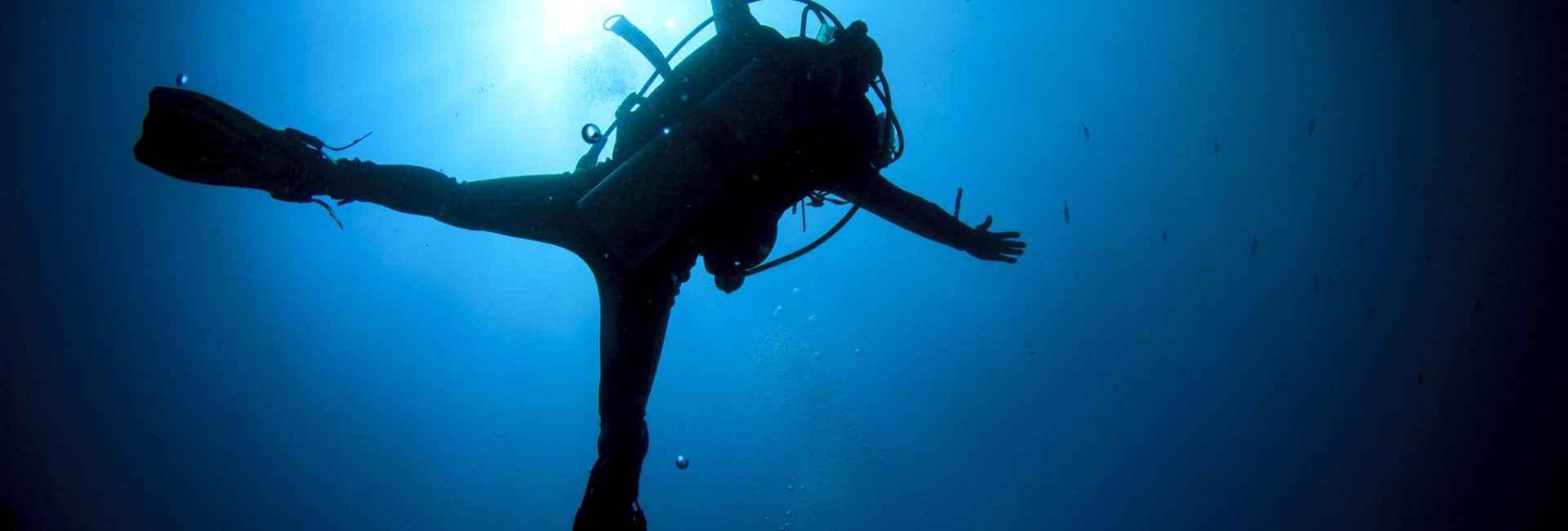 How To Seize Opportunities in Scuba Diving
