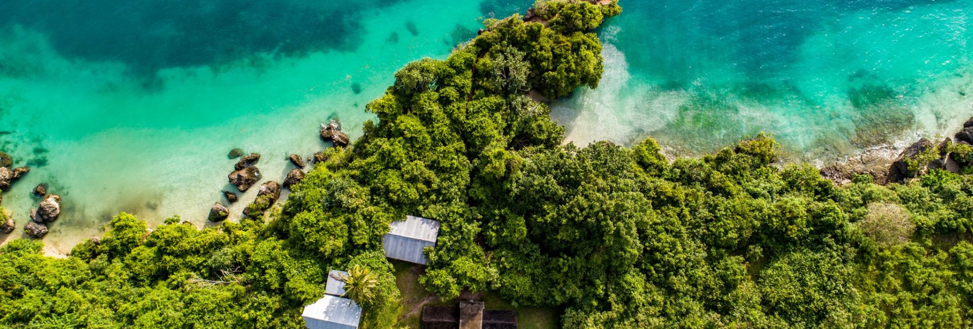 Zanzibar: Marine Conservation and Responsible Diving