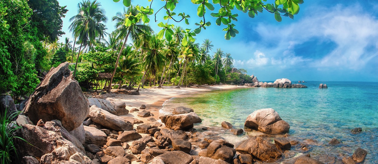 Idílica playa tropical, palmeras, arena blanca y aguas cristalinas. Increíble playa. Paisaje para fondo o wallpaper. Koh Tao, Tailandia   