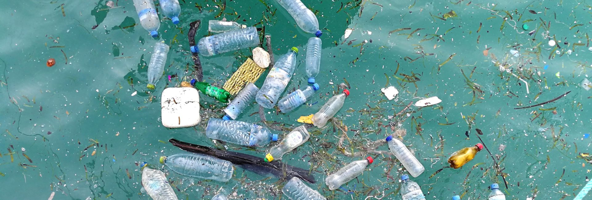 The Launch of the Great Ocean Cleanup
