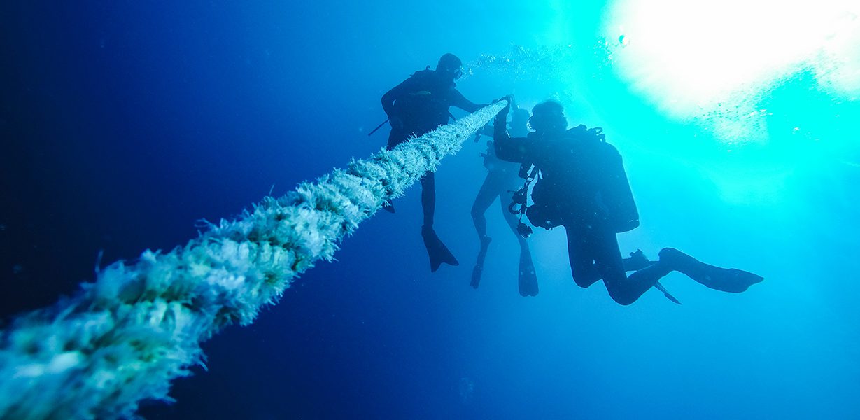 How To Ascend and Descend Safely in Scuba Diving