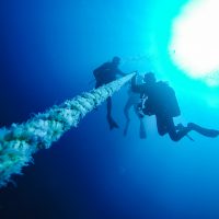 Descent
