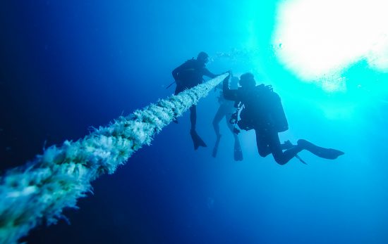 Descent