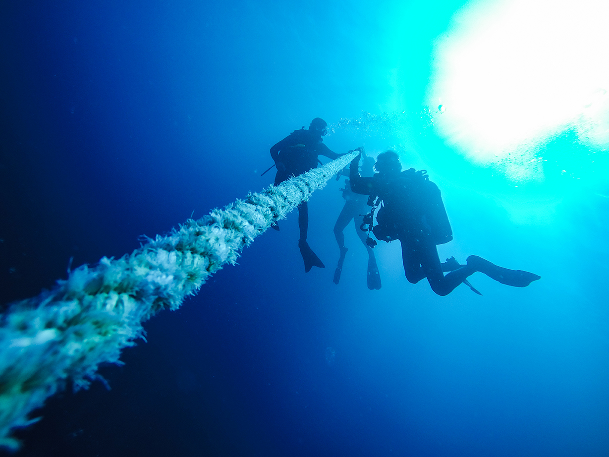 Three divers complete a safety stop to avoid decompression sickness because of Henry's Law and the physics of scuba diving
